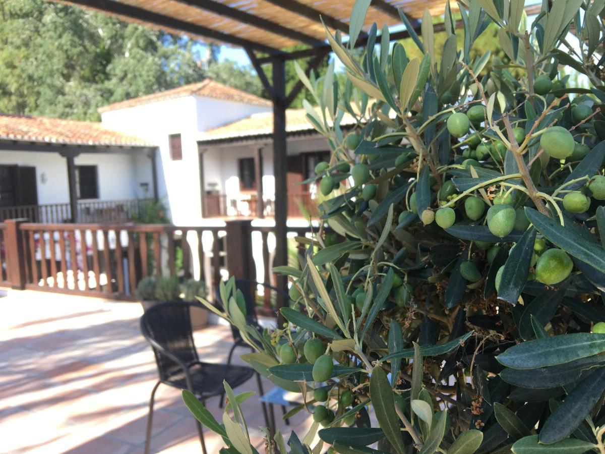 El Molino Estepona Exterior foto
